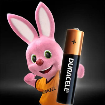 Pilha Alcalina AAA Duracell - MN2400B2 - Blister com 2 Pilhas