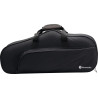 Saxofone Harmonics EB HAS-200L Alto Laqueado
