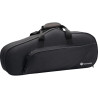 Saxofone Harmonics EB HAS-200L Alto Laqueado