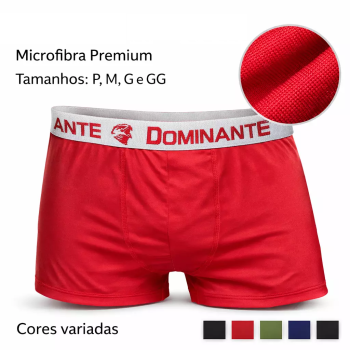 Cueca Masculina Microfibra Dominante Confortável | Silva Shopping